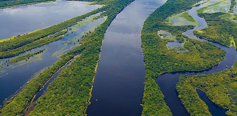 Fundo Amazônia é o maior projeto de cooperação internacional para a preservação da floresta amazônica e pode ser descontinuado
