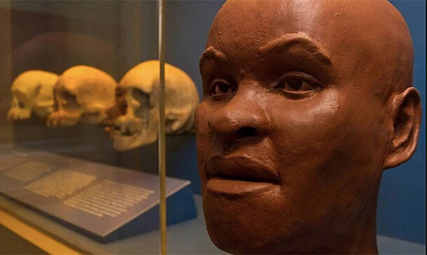 Fóssil Luzia é o mais antigo fóssil das Américas e considerada a primeira brasileira que viveu há 13 mil anos