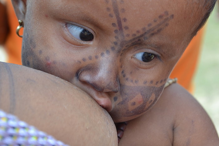Bebê indígena mama em sua mãe; número de óbitos de crianças indígenas antes de completar um mês de vida é três vezes maior que média nacional