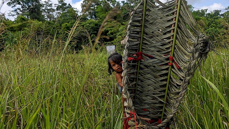 “A grande defesa da Amazônia se fará, principalmente pelos povos indígenas”, diz ex-presidente da Funai
