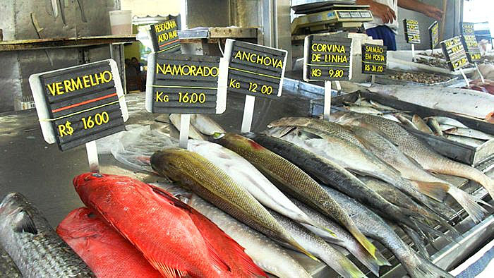 Vigilância Sanitária verificou se o peixe está armazenado em baixa temperatura