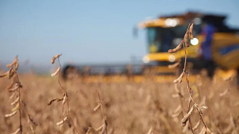 Atualmente, 2.152 produtos elaborados com agrotóxicos estão em circulação no Brasil