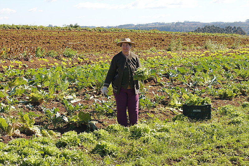 Bernadete, mãe de Dulciani, se dedica diariamente à agricultura familiar e agroecológica