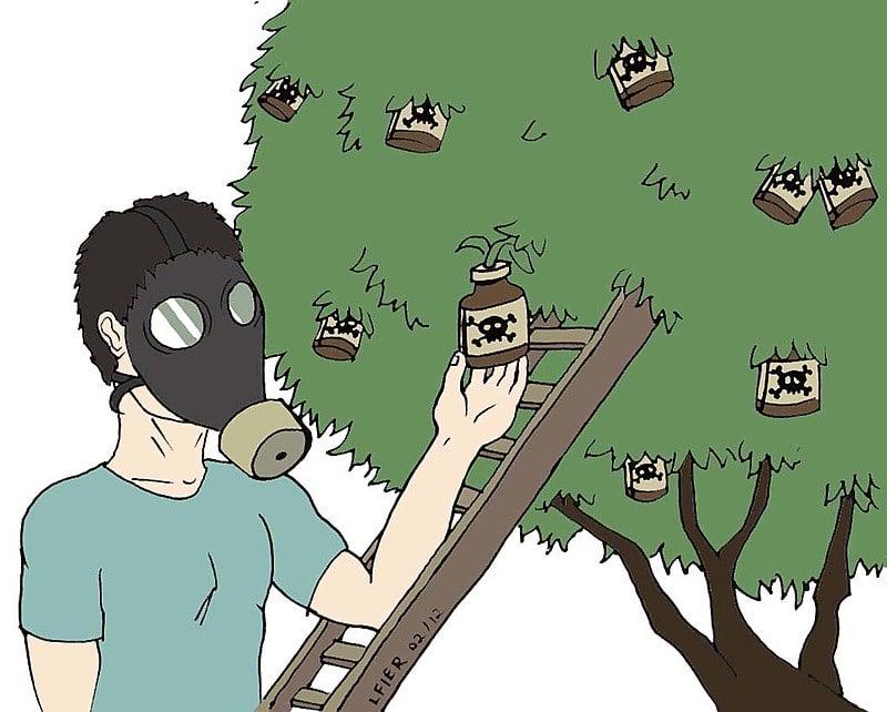 "Isso representa uma violação, uma afronta a um conjunto de direitos humanos fundamentais"