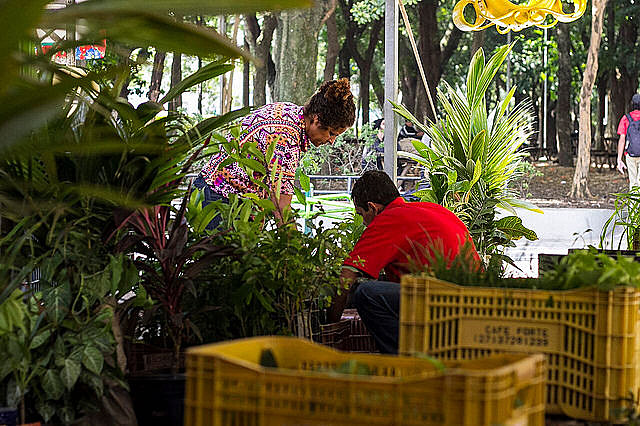 A assentada Sanuza Mota participou, em maio deste ano, da segunda Feira Nacional da Reforma Agrária, na capital paulista