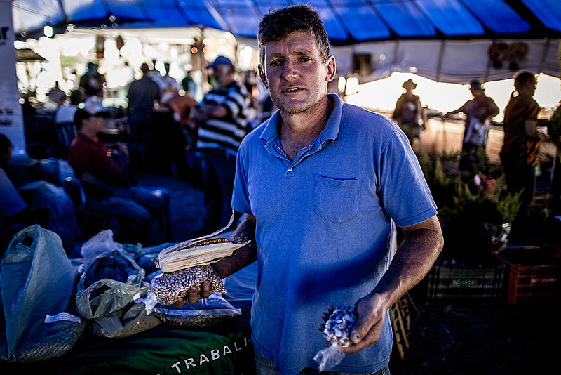 "Uma semente crioula geralmente ela evolui junto com os povos que cultivavam ela pra produzir seu próprio alimento", diz Nicão