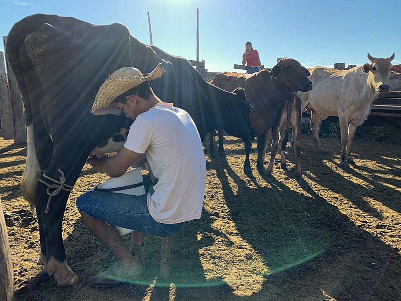 Famílias trabalham na terra e produzem mensalmente 184 mil litros de leite, além de 174 toneladas de farinha