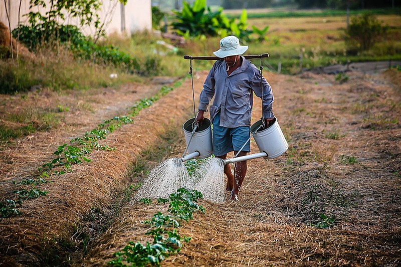 Somente na região do Pontal, 12 militantes e trabalhadores rurais foram condenados em segunda instância e tiveram suas prisões decretadas
