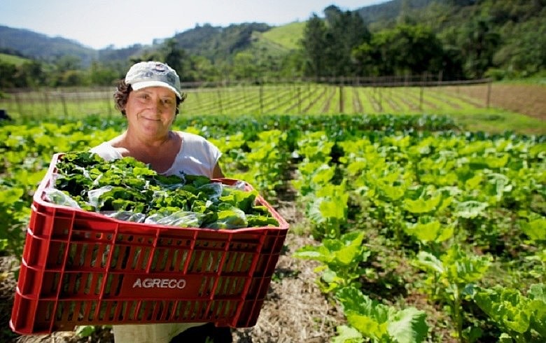 Produção familiar orgânica é desprezada pela mídia hegemônica ou abordada como algo alternativo ou exótico