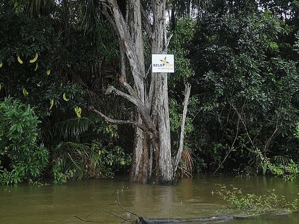 Em trecho do rio Xingu, placas demarcam área da Belo Sun em troncos de árvores