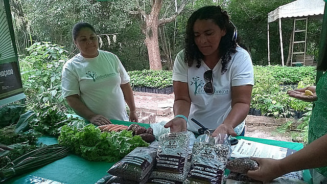 Además del PAA y PNAE, parte de la producción es vendida en ferias agroecológicas