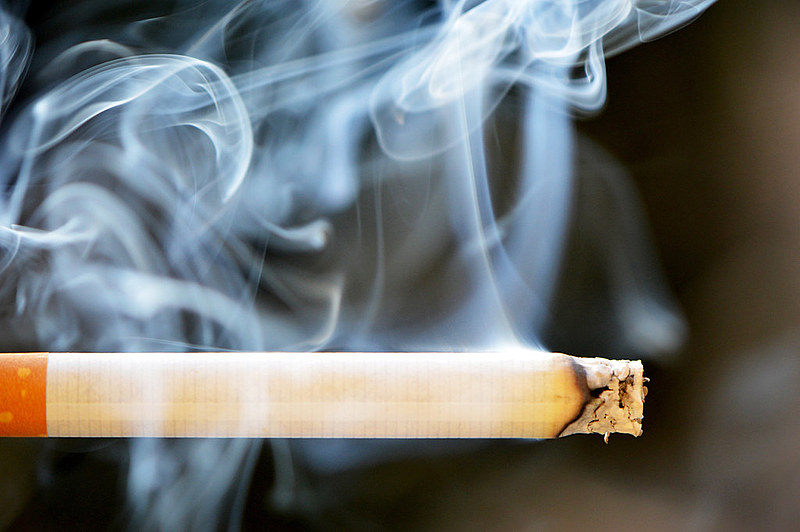 O tabaco é uma planta que produz a nicotina. Essa substância está presente em suas folhas e exerce um efeito inseticida