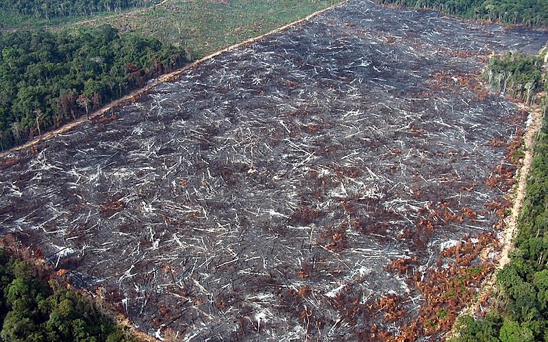 Área devastada na Amazônia. Segundo integrante da Imaflora, terras públicas sem uso devem ser destinadas à preservação