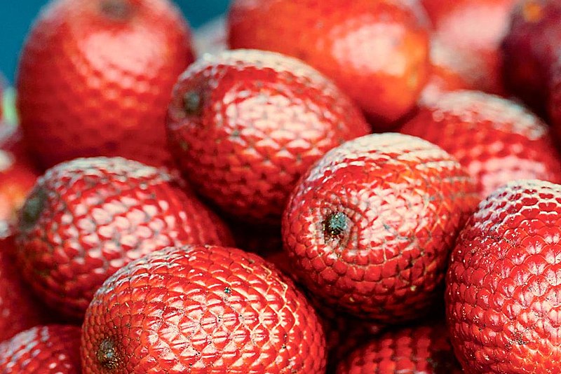 O buriti (foto) pode ser consumido ao natural, com farinha, ou usado para fazer doces, geleias, sorvetes e vinhos.
