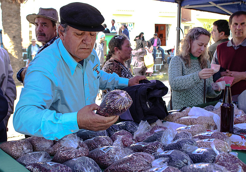 Adão da Silva visita a Feira do Feijão Orgânico da Apecol, que ocorre anualmente no centro de Piratini (RS)