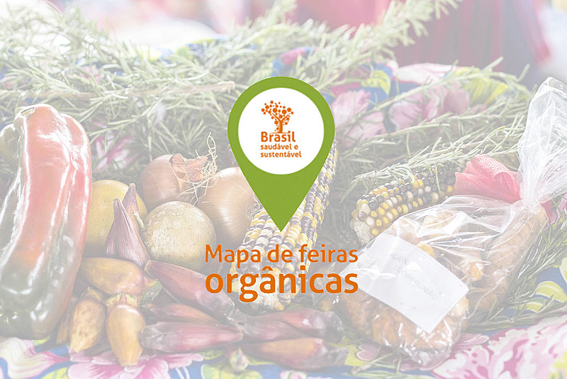 Aplicativo encurta o caminho do consumidor até o produtor e ajuda a colocar comida sem veneno na mesa de casa