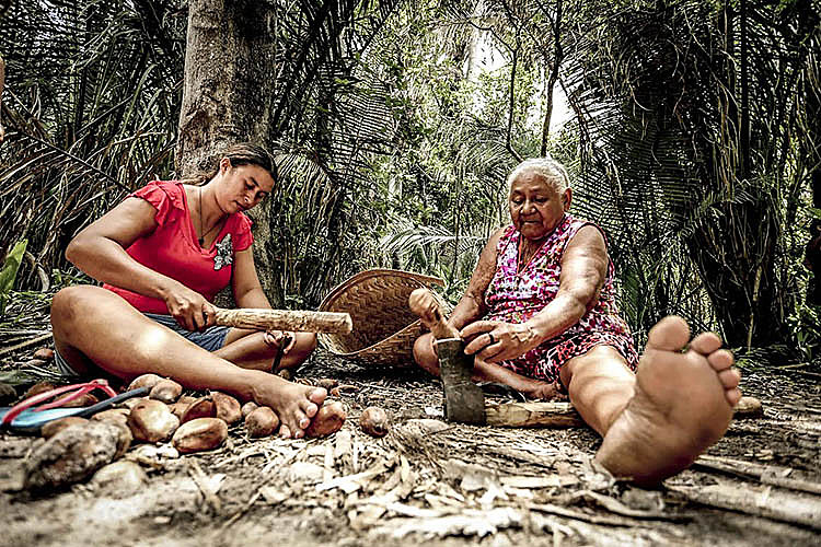 Mulheres da Associação do Movimento Interestadual das Quebradeiras de Coco Babaçu