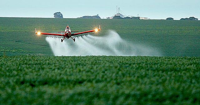 Pesquisadores da Universidade Federal do Ceará apontam que pulverização aérea de agrotóxicos afeta saúde comunitária e biodiversidade