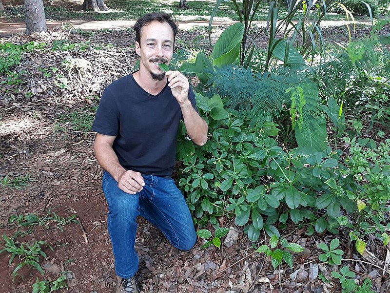Igor Aveline, geógrafo, foi o idealizador da agrofloresta em uma quadra da capital federal em 2014