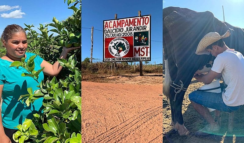 Acampamento tem 53 tanques de peixes, produz 174 toneladas de farinha e mais de 45 tipos de frutas, verduras e leguminosas