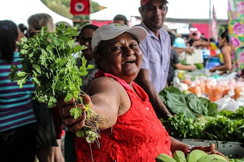 Lei determina que estados e municípios comprem alimentos vindos da agricultura familiar.