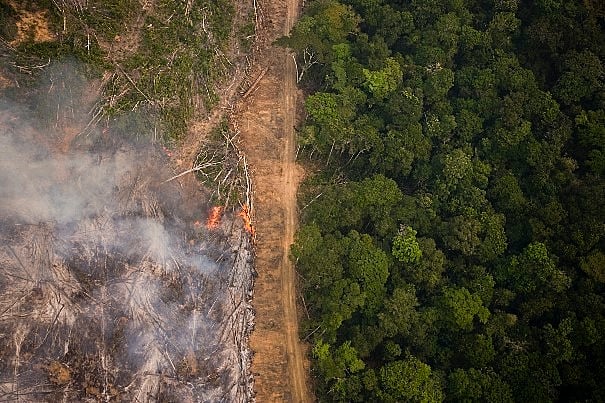 Lançamento da Campanha “Seja Legal com a Amazônia” traçou o perfil do roubo de terras