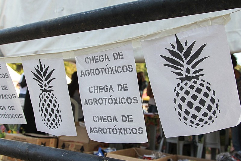 Brasil é o maior consumidor mundial de agrotóxico  e essa situação pode se agravar no futuro