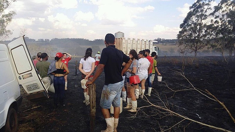Famílias produtoras se organizaram para apagar o incêndio