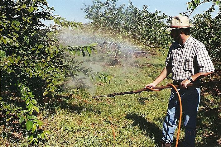 No Brasil, o crescimento no mercado de agrotóxicos foi de 190%, de acordo com dados divulgados pela Anvisa