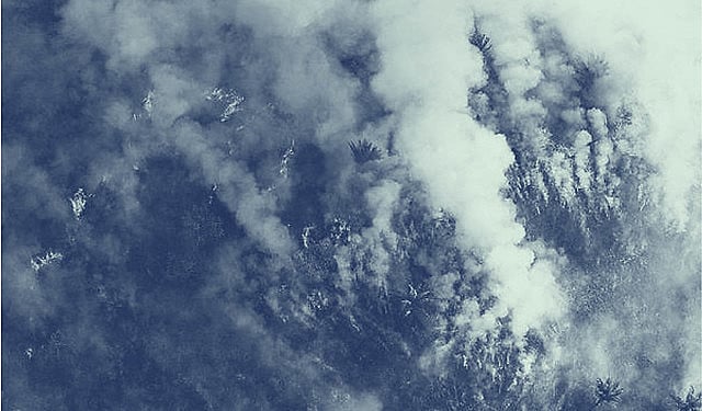 Wildfires in the Amazon rain forest hit a record number in 2019