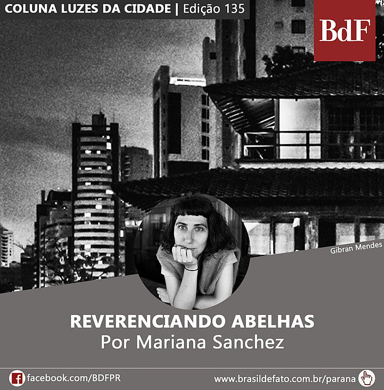 Mariana Sanchez é colunista do Brasil de Fato Paraná.
