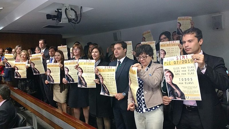 O PL segue para votação no plenário da Casa, ainda sem data definida