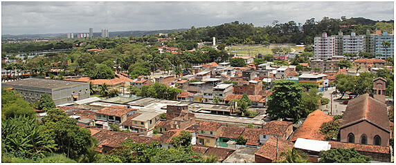 Os moradores mais antigos do bairro contam que o nome tem origem em uma plantação de macaxeira que existia no local