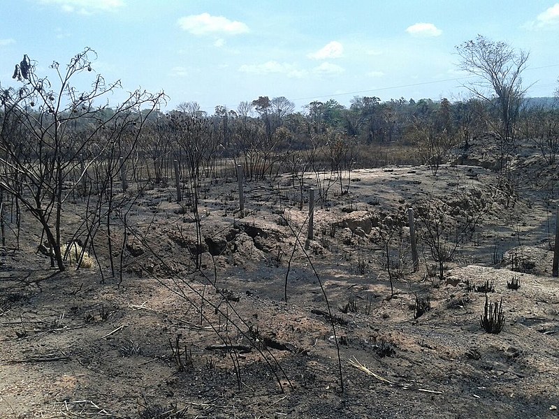 Terra indígena Bacurizinho queimada