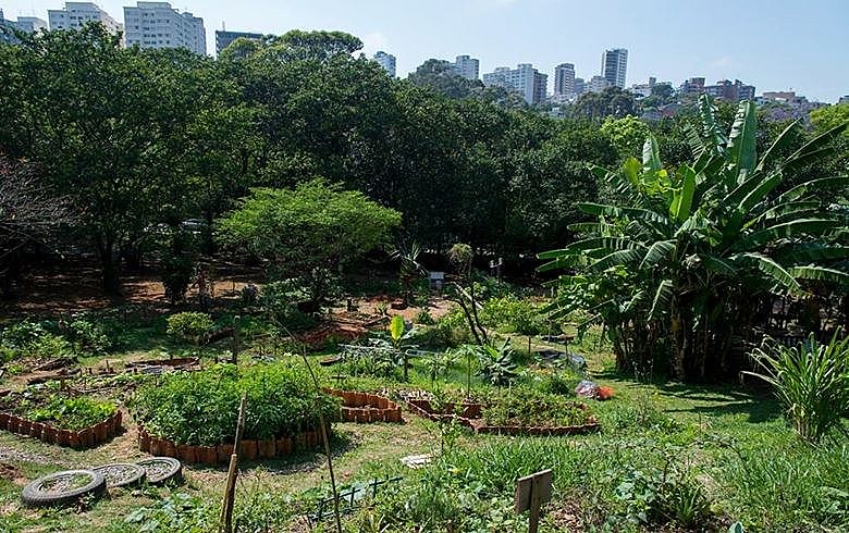 Criada em 2012, a Horta das Corujas foi a primeira em praça pública na cidade de São Paulo
