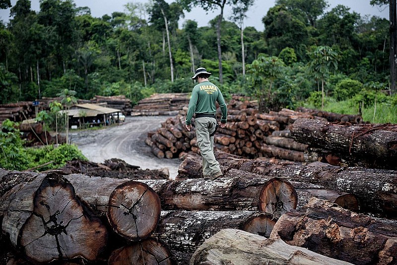Durante a campanha, Bolsonaro já chegou a afirmar que a Amazônia não é do Brasil e propôs explorá-la ainda mais