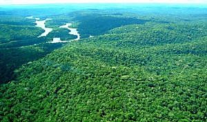 A Reserva Nacional do Cobre possui 47 mil quilômetros quadrados entre os estados do Pará e Amapá
