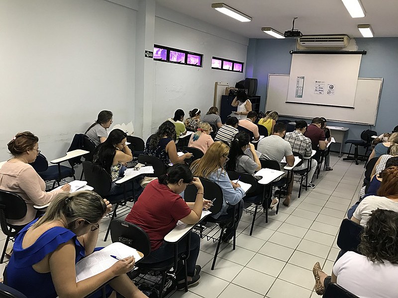 Esses profissionais deverão ministrar cursos ou trabalhar em diversas funções