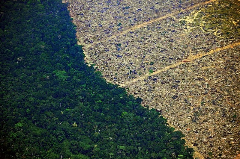Registro aéreo de área derrubada da floresta amazônica em Porto Velho (RO), um dos municípios campeões de desmatamento, segundo o Inpe