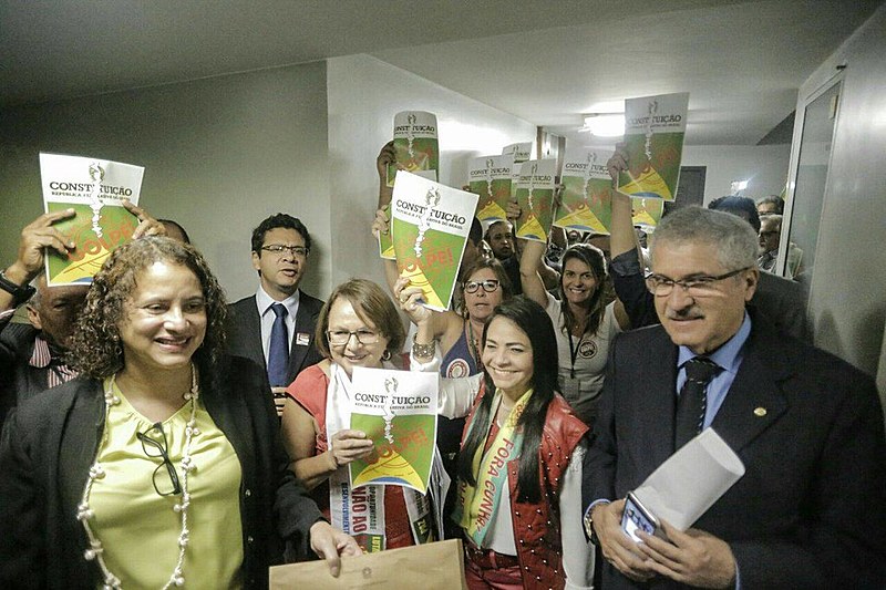 Presidente do PCdoB na Câmara, Luciana Santos protocolou o documento