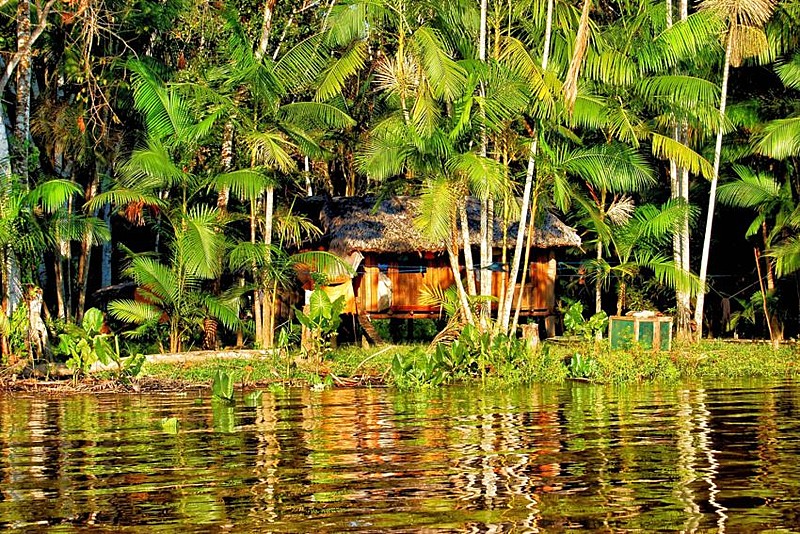 Habitação ribeirinha em trecho da floresta amazônica no estado do Pará