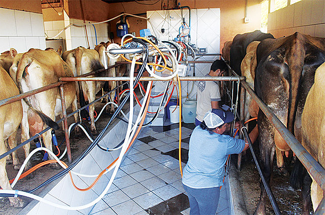 Produtores alegam que a crise no setor será ampliada com as normativas