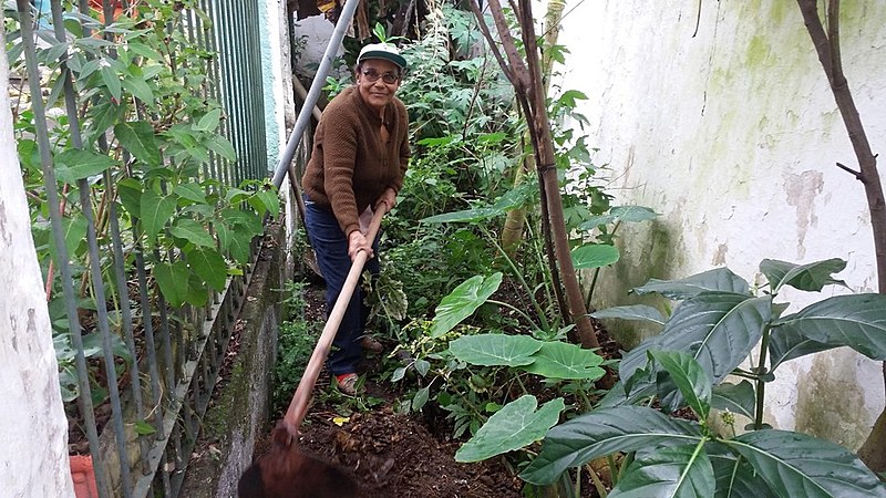 Dona Isabel no Bosque das Caboclas, quintal agroecológico no bairro de Campo Grande, zona oeste do Rio