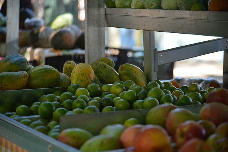 Além de legumes, frutas e hortaliças, refeições já prontas, como arroz e feijão, podem ser congeladas