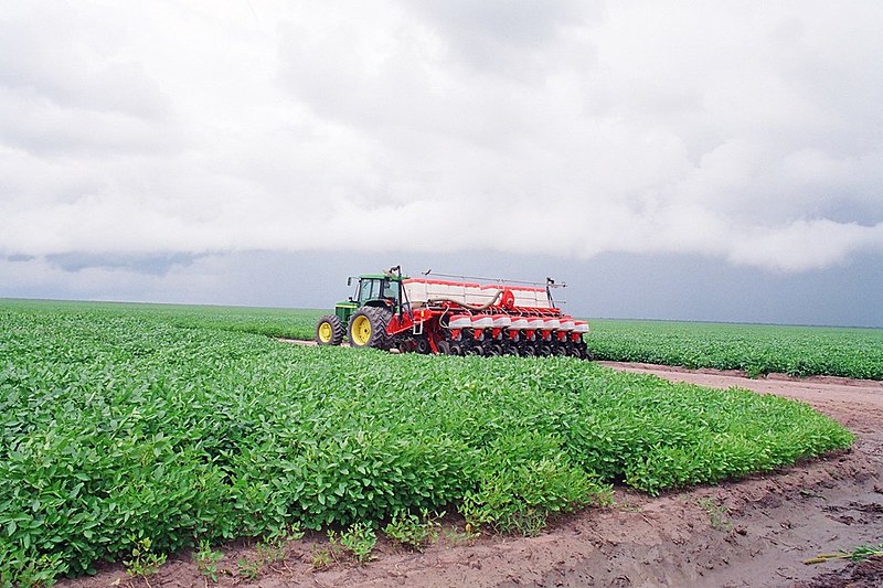 "O problema é gerado pelo Estado, por nunca ter regularizado a área do Cerrado, permitindo a invasão por grileiros, geralmente forasteiros"