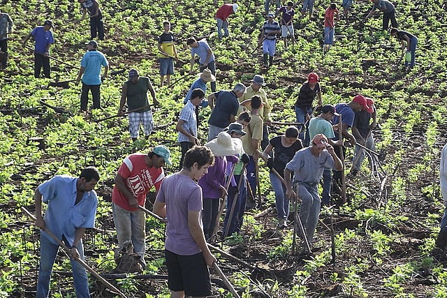 Plano Safra considera "pequenos" os produtores com renda anual de até R$ 415 mil