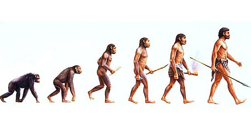 "Ao olhar para a imagem, temos a sensação de que a evolução aprimora as espécies, tendo um ápice: nós. Mas não é nada disso"