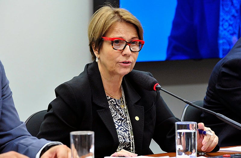 Tereza Cristina possui seu próprio símbolo: o “PL do Veneno”, que na prática quer amenizar o impacto de agrotóxicos nas lavouras.