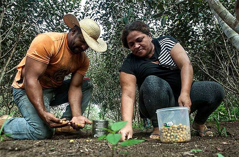 O casal Osvalinda e Daniel Pereira promovem o fortalecimento na agricultura familiar e a valorização da floresta em pé no assentamento