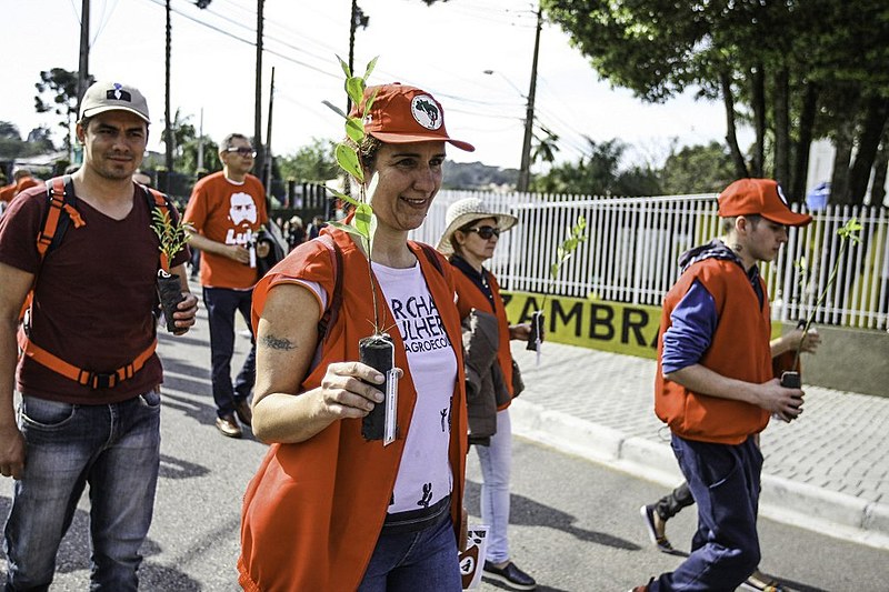 No último fim de semana, militantes que integram a Vigília Lula Livre realizaram mutirão de solidariedade e limparam terreno